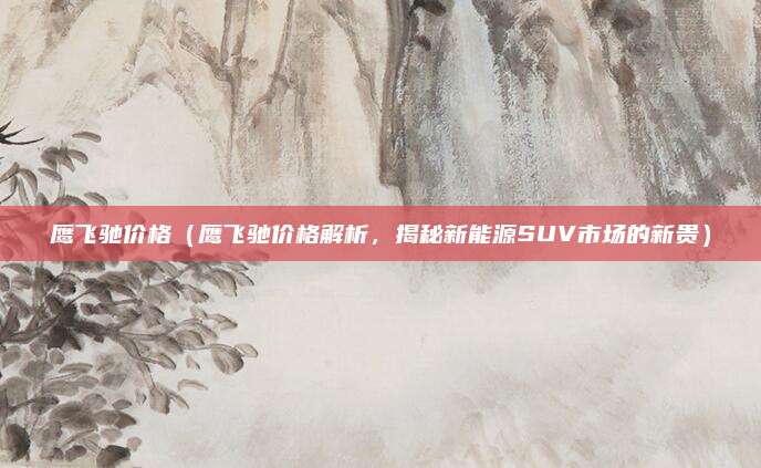 鹰飞驰价格（鹰飞驰价格解析，揭秘新能源SUV市场的新贵）