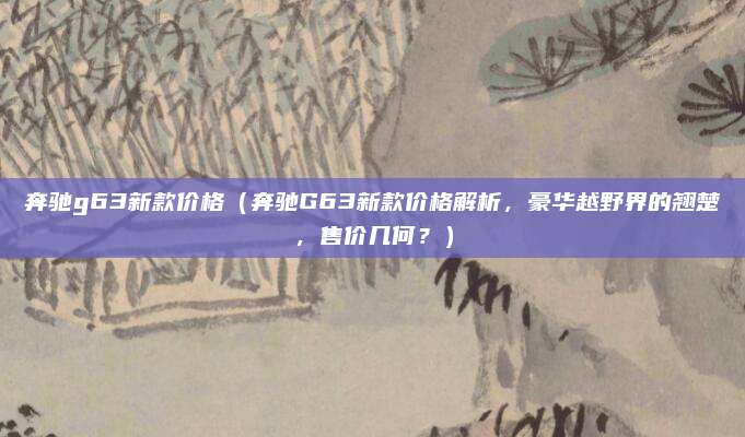 奔驰g63新款价格(奔驰G63新款价格解析,豪华越野界的翘楚,售价几何?)