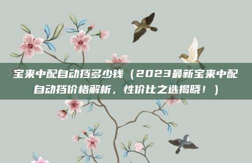 宝来中配自动挡多少钱（2023最新宝来中配自动挡价格解析，性价比之选揭晓！）