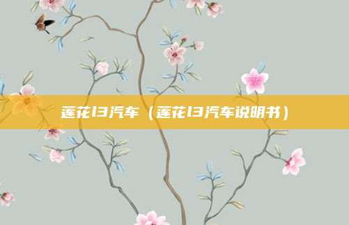 莲花l3汽车(莲花l3汽车说明书)