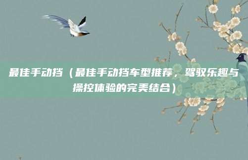 最佳手动挡(最佳手动挡车型推荐,驾驭乐趣与操控体验的完美结合)