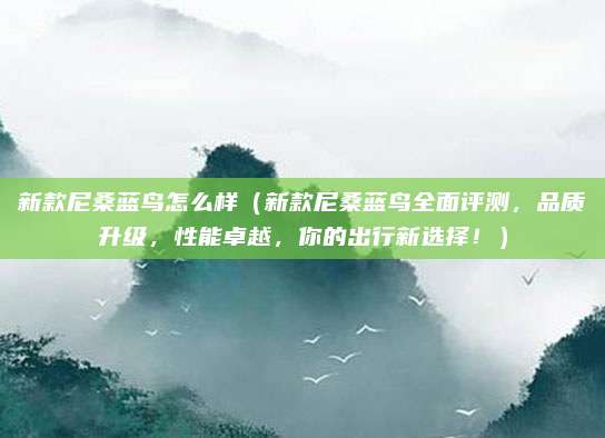 新款尼桑蓝鸟怎么样(新款尼桑蓝鸟全面评测,品质升级,性能卓越,你的出行新选择!)