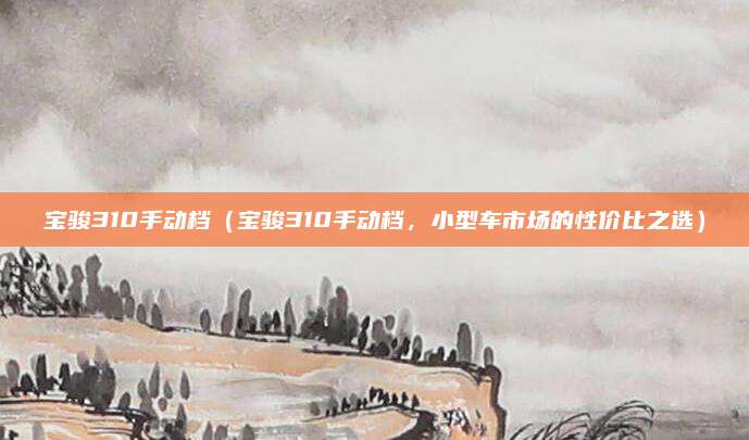 宝骏310手动档(宝骏310手动档,小型车市场的性价比之选)