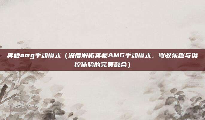 奔驰amg手动模式(深度解析奔驰AMG手动模式,驾驭乐趣与操控体验的完美融合)