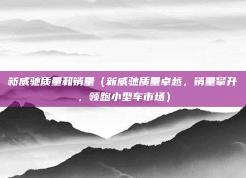 新威驰质量和销量(新威驰质量卓越,销量攀升,领跑小型车市场)