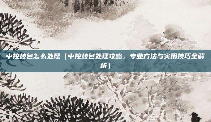 中控鼓包怎么处理(中控鼓包处理攻略,专业方法与实用技巧全解析)