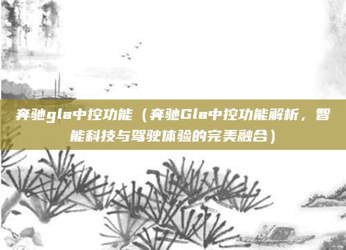 奔驰gla中控功能(奔驰Gla中控功能解析,智能科技与驾驶体验的完美融合)