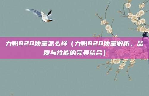 力帆820质量怎么样(力帆820质量解析,品质与性能的完美结合)