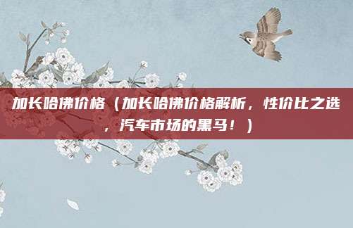 加长哈佛价格(加长哈佛价格解析,性价比之选,汽车市场的黑马!)