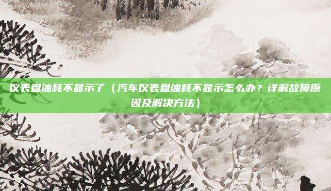 仪表盘油耗不显示了(汽车仪表盘油耗不显示怎么办?详解故障原因及解决方法)