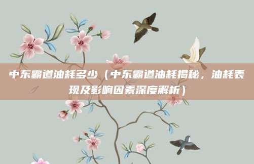 中东霸道油耗多少（中东霸道油耗揭秘，油耗表现及影响因素深度解析）