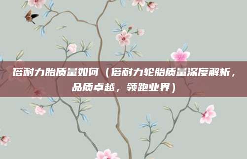 倍耐力胎质量如何(倍耐力轮胎质量深度解析,品质卓越,领跑业界)