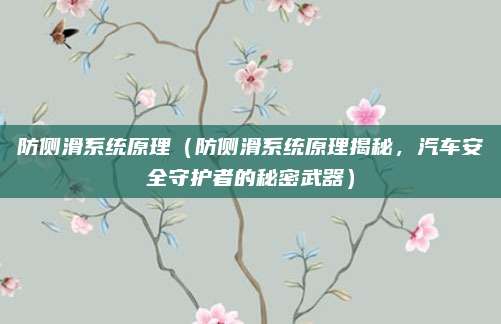 防侧滑系统原理(防侧滑系统原理揭秘,汽车安全守护者的秘密武器)