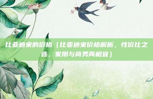 比亚迪宋的价格(比亚迪宋价格解析,性价比之选,家用与商务两相宜)