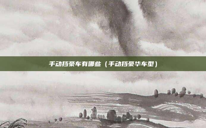 手动挡豪车有哪些(手动挡豪华车型)