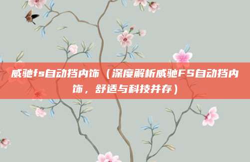威驰fs自动挡内饰(深度解析威驰FS自动挡内饰,舒适与科技并存)
