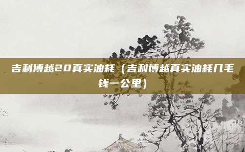 吉利博越20真实油耗（吉利博越真实油耗几毛钱一公里）