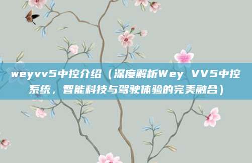 weyvv5中控介绍(深度解析Wey VV5中控系统,智能科技与驾驶体验的完美融合)