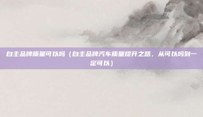 自主品牌质量可以吗（自主品牌汽车质量提升之路，从可以吗到一定可以）