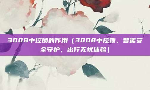 3008中控锁的作用(3008中控锁,智能安全守护,出行无忧体验)