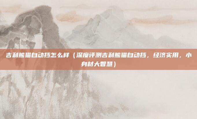 吉利熊猫自动挡怎么样(深度评测吉利熊猫自动挡,经济实用,小身材大智慧)
