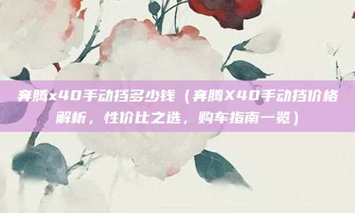 奔腾x40手动挡多少钱（奔腾X40手动挡价格解析，性价比之选，购车指南一览）