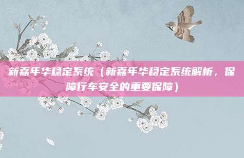 新嘉年华稳定系统（新嘉年华稳定系统解析，保障行车安全的重要保障）