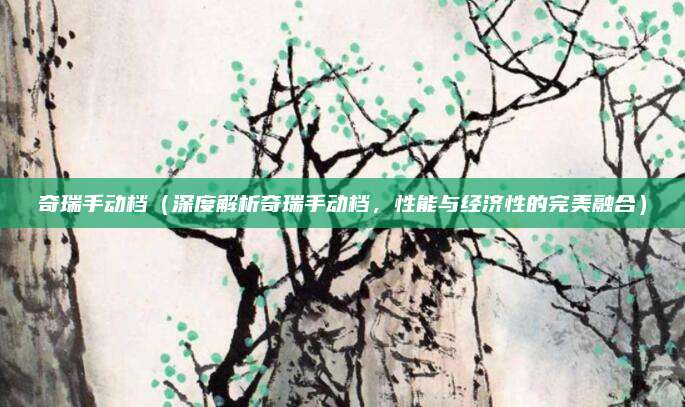 奇瑞手动档（深度解析奇瑞手动档，性能与经济性的完美融合）