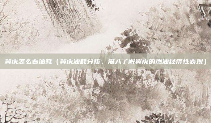 翼虎怎么看油耗(翼虎油耗分析,深入了解翼虎的燃油经济性表现)
