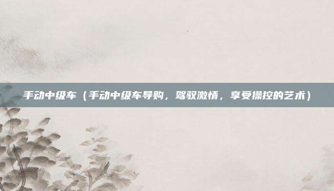 手动中级车（手动中级车导购，驾驭激情，享受操控的艺术）