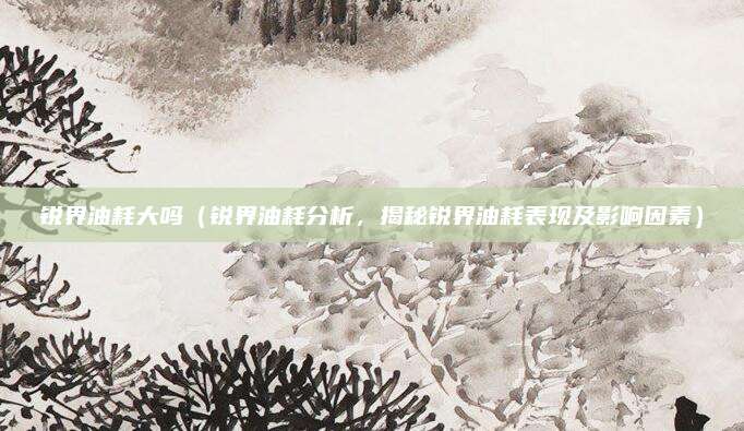 锐界油耗大吗（锐界油耗分析，揭秘锐界油耗表现及影响因素）