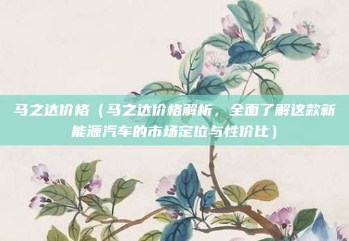 马之达价格（马之达价格解析，全面了解这款新能源汽车的市场定位与性价比）