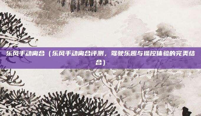 乐风手动离合(乐风手动离合评测,驾驶乐趣与操控体验的完美结合)