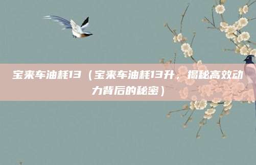宝来车油耗13(宝来车油耗13升,揭秘高效动力背后的秘密)