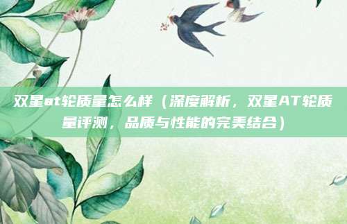 双星at轮质量怎么样（深度解析，双星AT轮质量评测，品质与性能的完美结合）