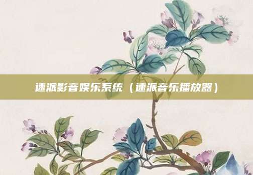速派影音娱乐系统(速派音乐播放器)