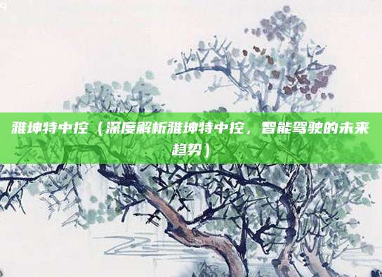 雅坤特中控(深度解析雅坤特中控,智能驾驶的未来趋势)