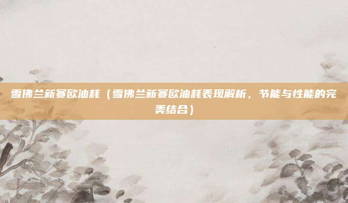 雪佛兰新赛欧油耗（雪佛兰新赛欧油耗表现解析，节能与性能的完美结合）
