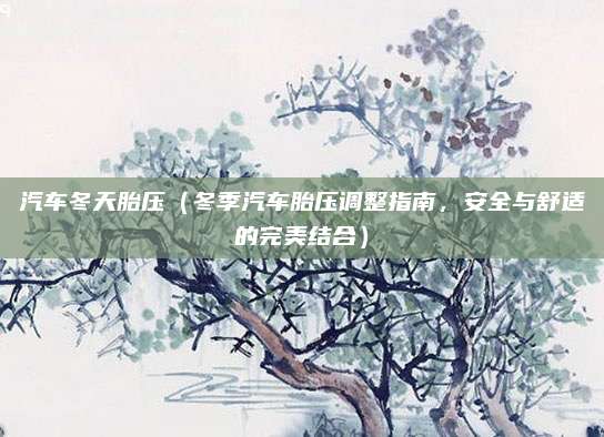汽车冬天胎压(冬季汽车胎压调整指南,安全与舒适的完美结合)