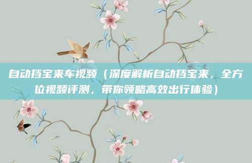 自动挡宝来车视频(深度解析自动挡宝来,全方位视频评测,带你领略高效出行体验)