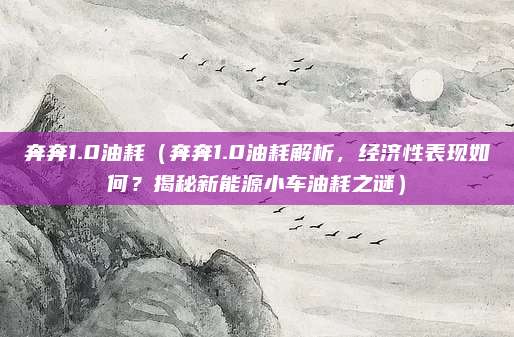 奔奔1.0油耗(奔奔1.0油耗解析,经济性表现如何?揭秘新能源小车油耗之谜)