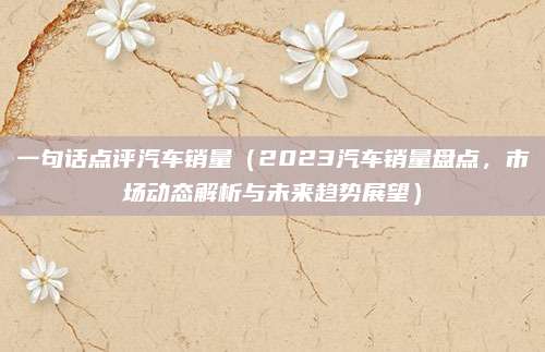 一句话点评汽车销量(2023汽车销量盘点,市场动态解析与未来趋势展望)