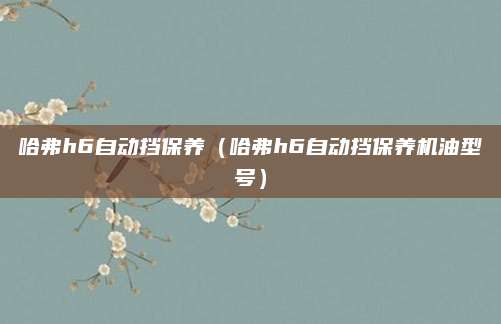 哈弗h6自动挡保养(哈弗h6自动挡保养机油型号)