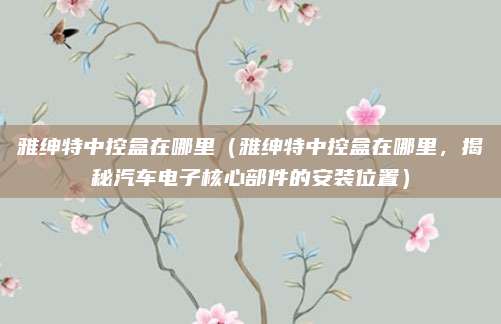 雅绅特中控盒在哪里(雅绅特中控盒在哪里,揭秘汽车电子核心部件的安装位置)