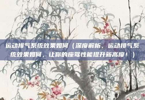 运动排气系统效果如何（深度解析，运动排气系统效果如何，让你的座驾性能提升新高度！）
