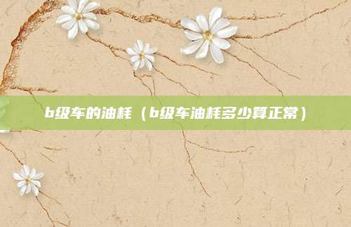 b级车的油耗(b级车油耗多少算正常)