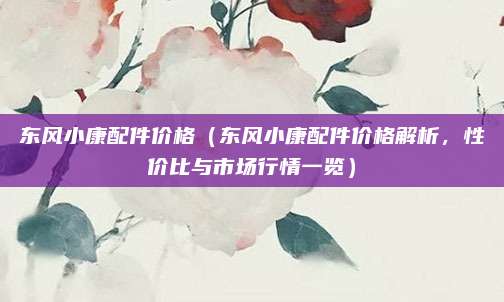 东风小康配件价格（东风小康配件价格解析，性价比与市场行情一览）