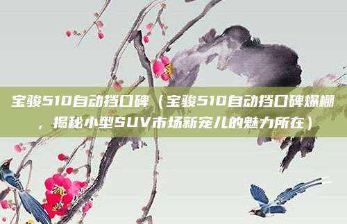宝骏510自动挡口碑（宝骏510自动挡口碑爆棚，揭秘小型SUV市场新宠儿的魅力所在）