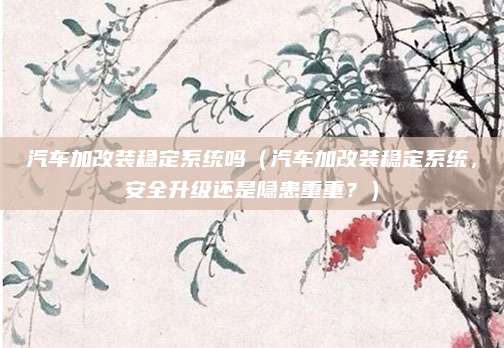 汽车加改装稳定系统吗（汽车加改装稳定系统，安全升级还是隐患重重？）
