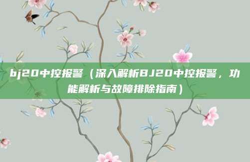 bj20中控报警(深入解析BJ20中控报警,功能解析与故障排除指南)